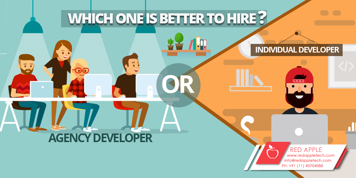 Which One is Better to Hire – Individual Developer OR Agency Developer