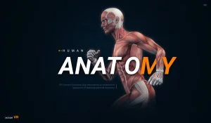 Human Anatomy VR healthcare banner image