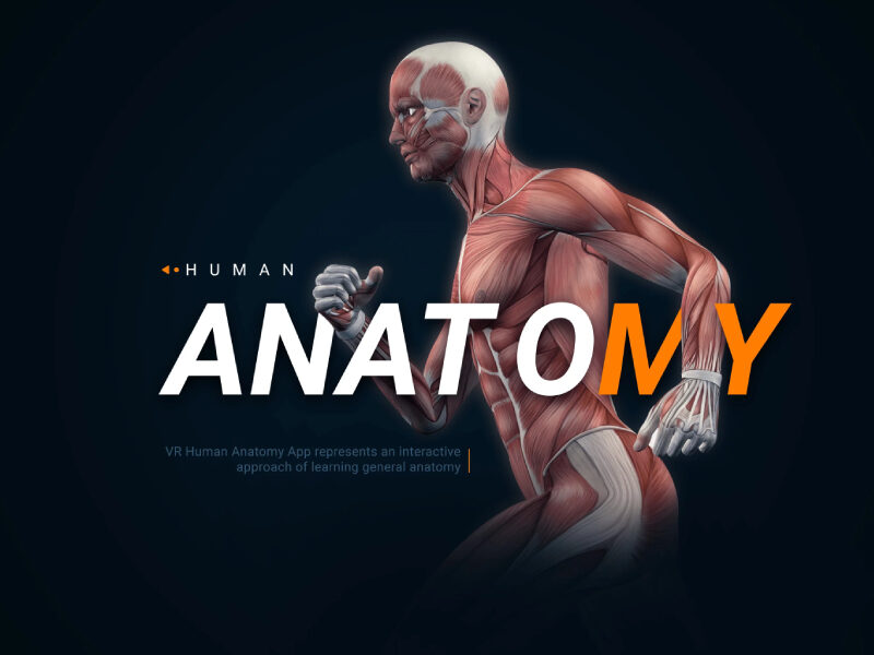 human anatomy VR app