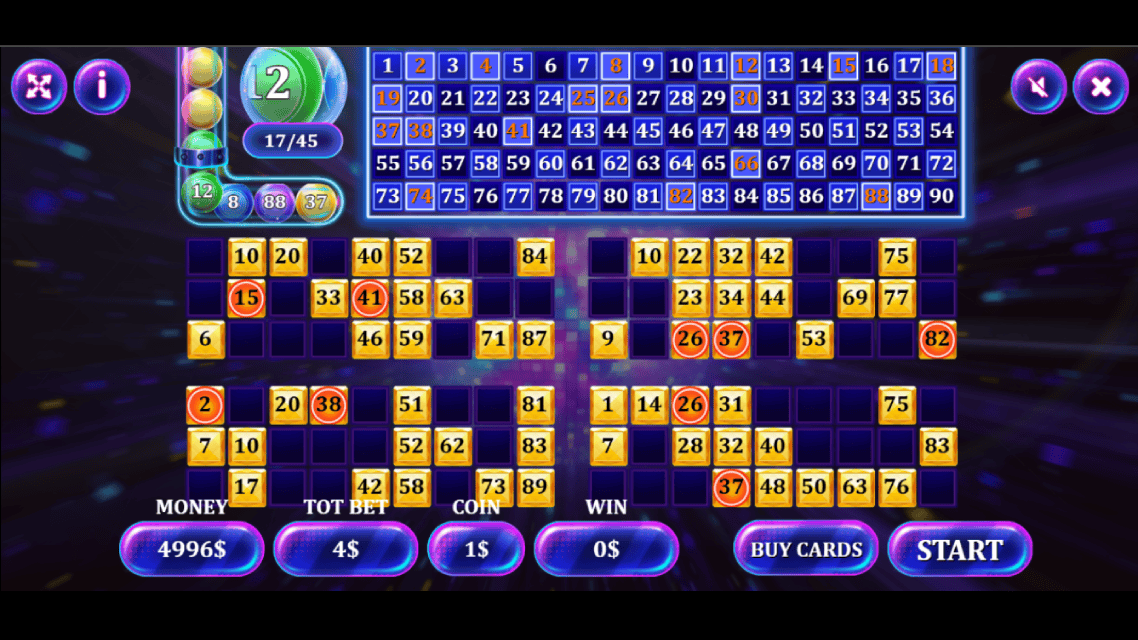 bingo