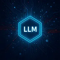 LLM