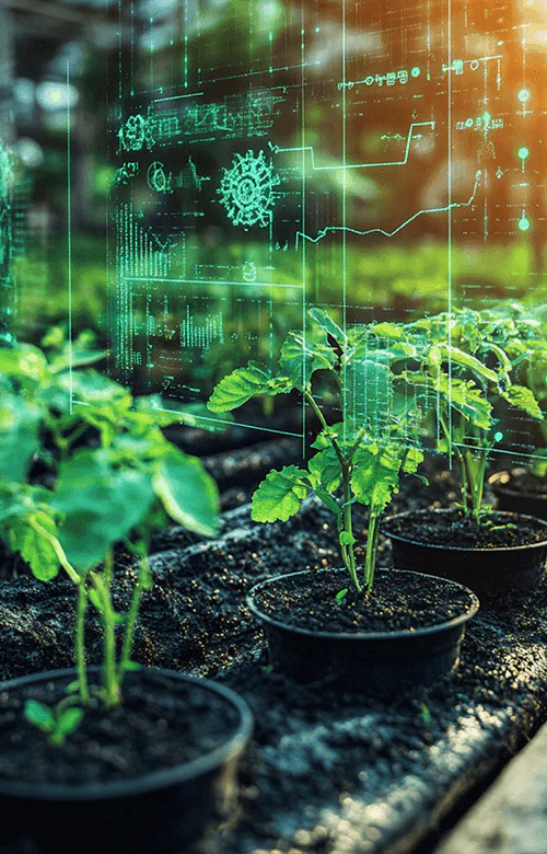 Agriculture