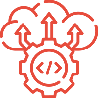 Launch & Ongoing Support