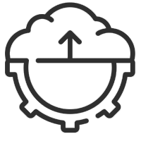 Launch & Continuous Support
