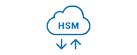 HSM