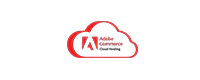 Vue js