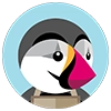 NFT Developer